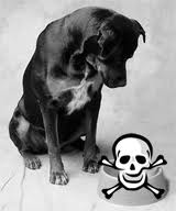 Roger Biduk-Dogfood Poison Scull