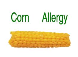 Corn allergy