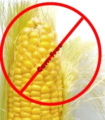 No corn
