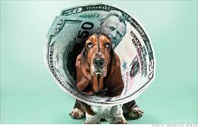 Roger-Biduk-Dog-Money-Collar