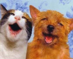 Roger Biduk - Happy dog and cat