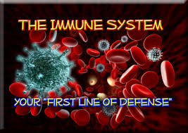 Roger Biduk - Immune system first line of defense