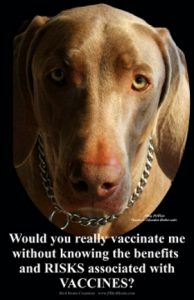 Roger Biduk - Vaccinations would you vaccinate me knowing the risks and benefits 28