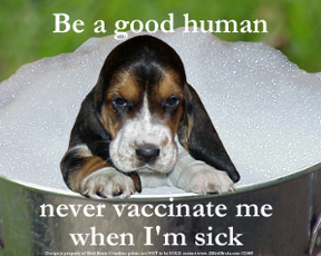 Roger biduk - Vaccination never vaccinate when I'm sick 31